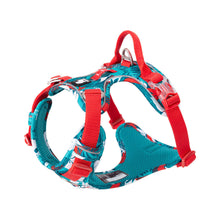 HKM-238099 Adjustable Vest-Style Chest Harness for Large Dogs - Blue-Red & Purple-Green Options