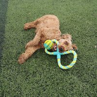 HKM-920787 Bite-Resistant Rubber Dog Toy with Cotton Rope and Snack Compartment