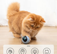 HKM-985171 Interactive Fitness Ball Toy for Cats - Fog Blue, Plastic, 48mm Diameter, 60g