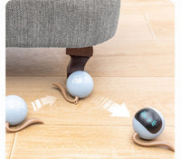HKM-985171 Interactive Fitness Ball Toy for Cats - Fog Blue, Plastic, 48mm Diameter, 60g