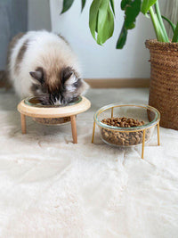 HKM-092499 Elevate Your Pet's Dining Experience with a Stylish Glass and Beech Pet Bowl - Large 800ml / Small 480ml Options Available