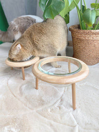 HKM-092499 Elevate Your Pet's Dining Experience with a Stylish Glass and Beech Pet Bowl - Large 800ml / Small 480ml Options Available
