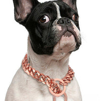 HKM-518867 Hip Hop Style Titanium Steel Metal 15mm Dog Leash - Available in Gold, Black, Silver, Rose Gold