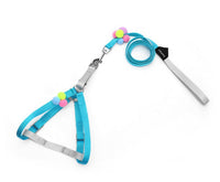 HKM-816723 Colorful Fluffy Ball Traction Rope with Harness for Small and Medium Dogs and Cats (KFL210403)