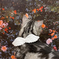 HKM-696211 Angel Wing Collar with Butterfly Tie for Cats & Small Dogs - Neck Sizes S: 14-24cm, M: 24-34cm, L: 34-44cm