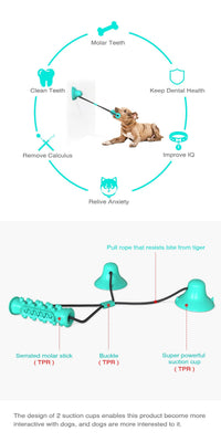 HKM-238419 Double Suction Cup Dog Toy for Molar Chewing - Lake Blue & Green Plastic