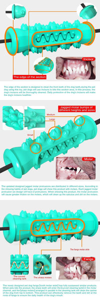 HKM-238419 Double Suction Cup Dog Toy for Molar Chewing - Lake Blue & Green Plastic
