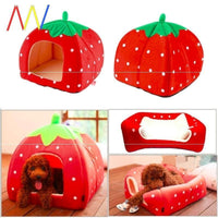 HKM-259475 Pineapple and Orange Cloth Pet Bed for Small Pets - Multiple Sizes Available
