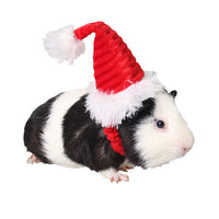 HKM-289939 Flannel Christmas Pet Hat for Small Animals - Adjustable Red Santa Hat, Suitable for Kittens, Puppies, Rabbits, and More