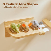 HKM-054483 Cat Interactive Toys with Squeaking Mice, Catnip & Silvervine for Play and Dental Care