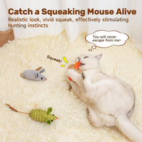 HKM-054483 Cat Interactive Toys with Squeaking Mice, Catnip & Silvervine for Play and Dental Care