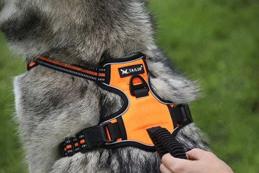 HKM-417747 Reflective Double Stack Chest Strap for Pets - Explosion-Proof, Wear-Resistant Fabric, Sizes S-XL, Multiple Colors Available