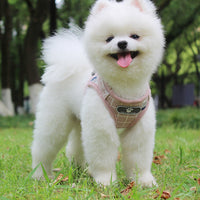 HKM-613203 Reflective Breathable Mesh Harness and Leash for Small to Medium Pets in Light Pink, Grey, and Khaki