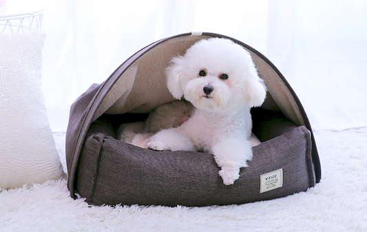 HKM-0120637 Cozy Pet Bed with Dimensions S: 60*50*17 cm, M: 75*60*19 cm