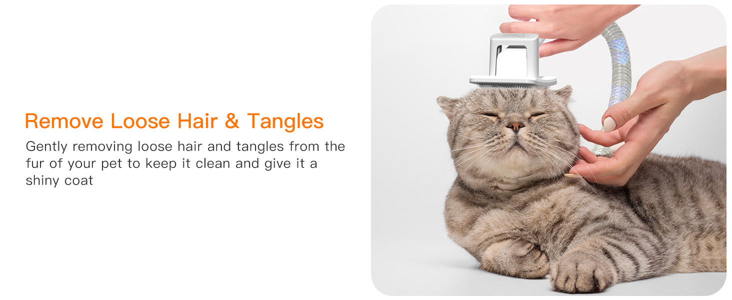 HKM-5392061 Multifunctional Pet Hair Vacuum Cleaner with 600W Power and 12000Pa Suction