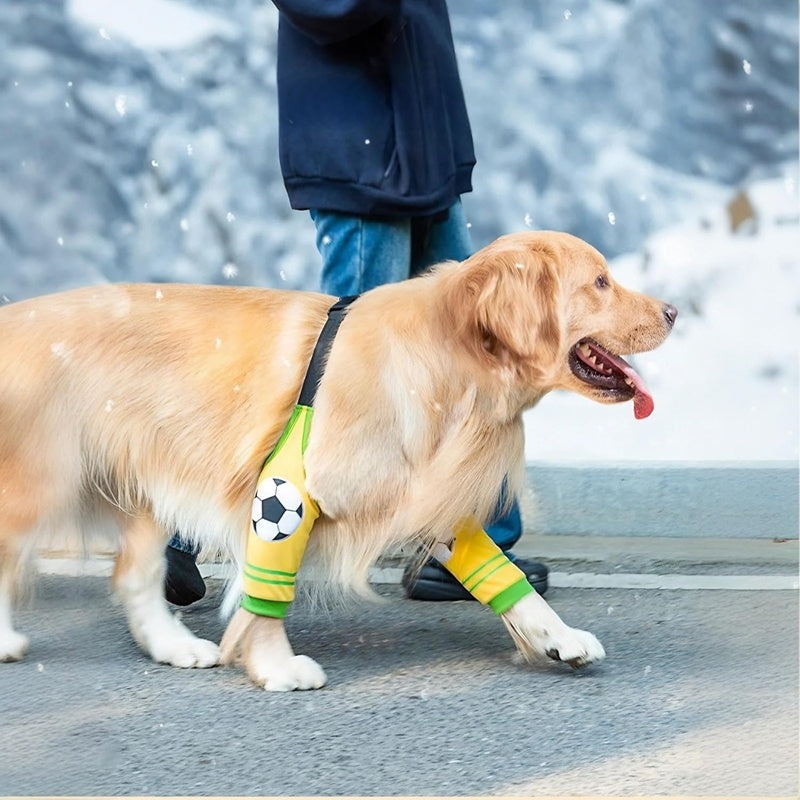 KTX-000275 Durable Pet Recovery Suit with Wear-resistant Sleeves and Adjustable Design for Joint Protection