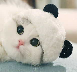 HKM-002771 Adorable White Wool Panda Hat for Pets - Sizes S, M, L