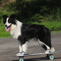 HKM-002963 Durable Breathable Dog Shoes with Reflective Tape and Rubber Outsole