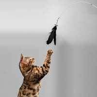 HKM-003027 Telescopic Cat Fishing Rod with Removable Bell Toy and Feather Attachment, 48-80cm