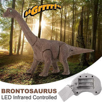 HKM-004051 Remote Control Infrared Dinosaur Toy for Kids - Electric RC Animal with Realistic Movement