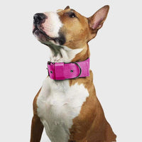 HKM-004115 Pet Dog Collar Foam Scarf Nylon Bandana - Stylish and Comfortable for All Seasons