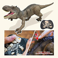 HKM-004243 Remote Control Spray Dinosaur Toy - 2.4G RC Tyrannosaurus Rex for Kids, Indoor/Outdoor Fun