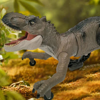 HKM-004243 Remote Control Spray Dinosaur Toy - 2.4G RC Tyrannosaurus Rex for Kids, Indoor/Outdoor Fun