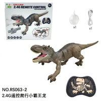 HKM-004243 Remote Control Spray Dinosaur Toy - 2.4G RC Tyrannosaurus Rex for Kids, Indoor/Outdoor Fun