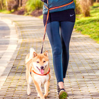 HKM-004755 Durable High-Strength Nylon Dog Chest Strap with Adjustable Leash - Available in Orange and Green