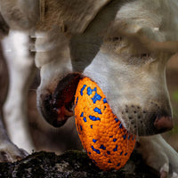 HKM-005011 Teeth-resistant Pet Dog Chewing Toy Football