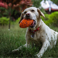 HKM-005011 Teeth-resistant Pet Dog Chewing Toy Football