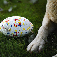HKM-005011 Teeth-resistant Pet Dog Chewing Toy Football