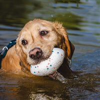 HKM-005011 Teeth-resistant Pet Dog Chewing Toy Football