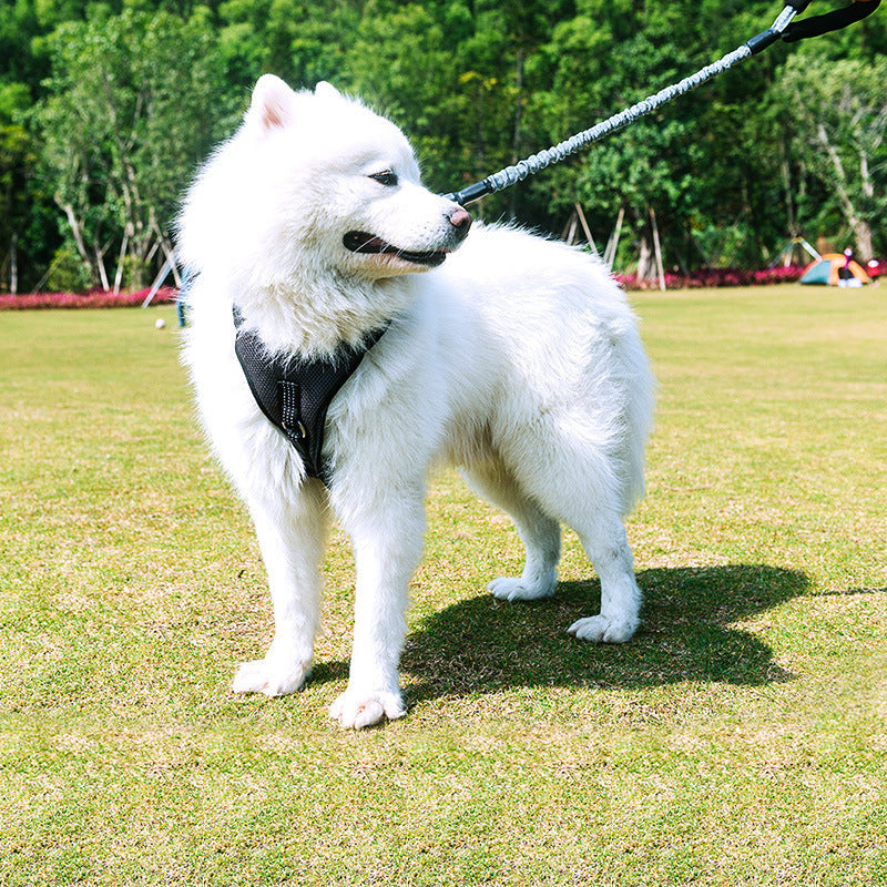HKM-005203 Retractable Medium Dog Leash for Large Breeds, Adjustable 75cm to 150cm