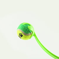 HKM-006163 Outdoor Pet Throwing Cue Dog Training Toy