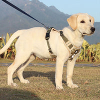 HKM-007891 Medium to Large Dog Explosion-Proof Chest Strap Harness - Available in Purple, Lake Blue, Khaki, and Black