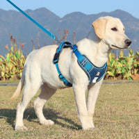 HKM-007891 Medium to Large Dog Explosion-Proof Chest Strap Harness - Available in Purple, Lake Blue, Khaki, and Black