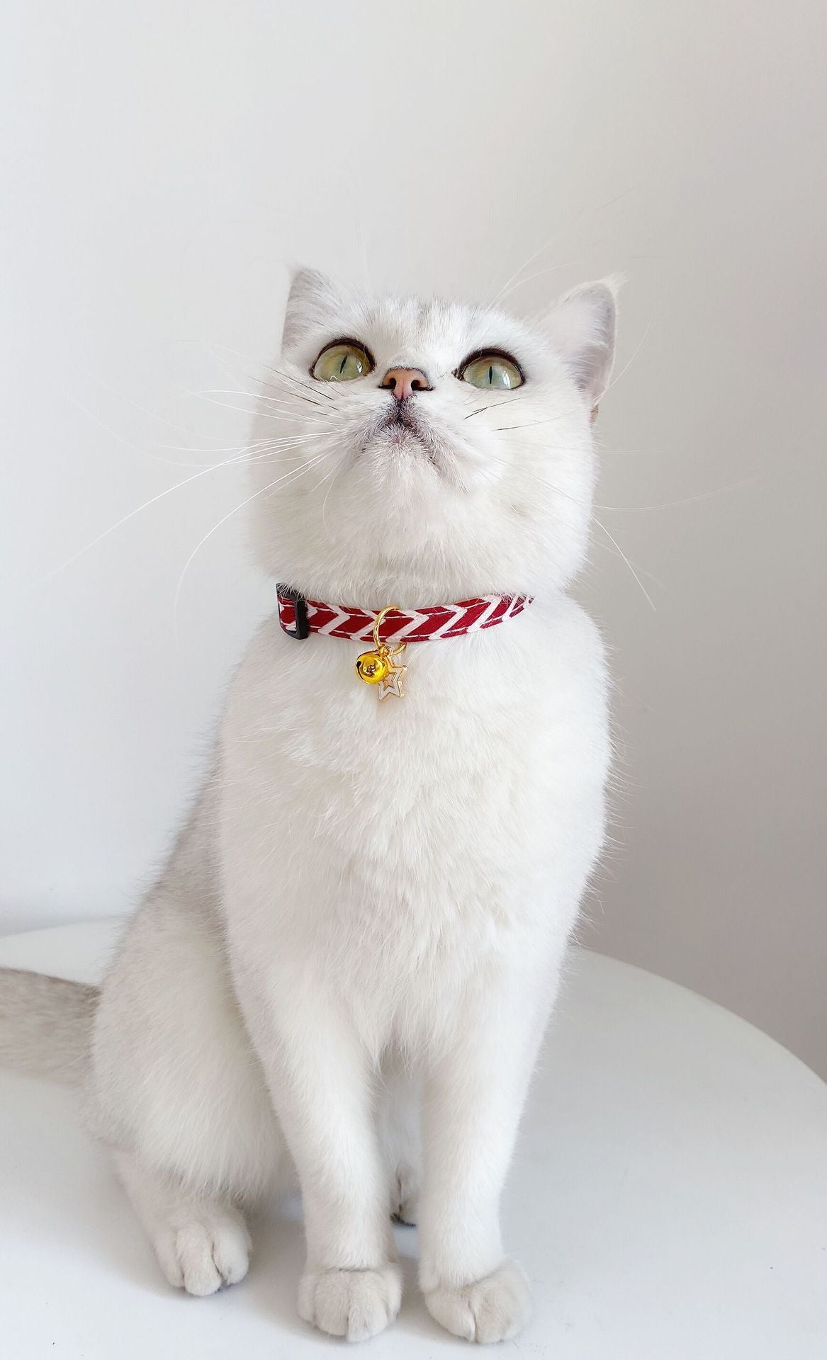 HKM-008403 Pentagram Geometry Striped Bell Adjustable Pet Collar