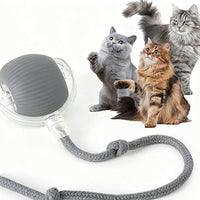 HKM-009299 Interactive Rechargeable Cat Ball Toy with Motion Sensor and Obstacle Avoidance Mechanism for Indoor Play