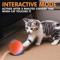 HKM-009299 Interactive Rechargeable Cat Ball Toy with Motion Sensor and Obstacle Avoidance Mechanism for Indoor Play