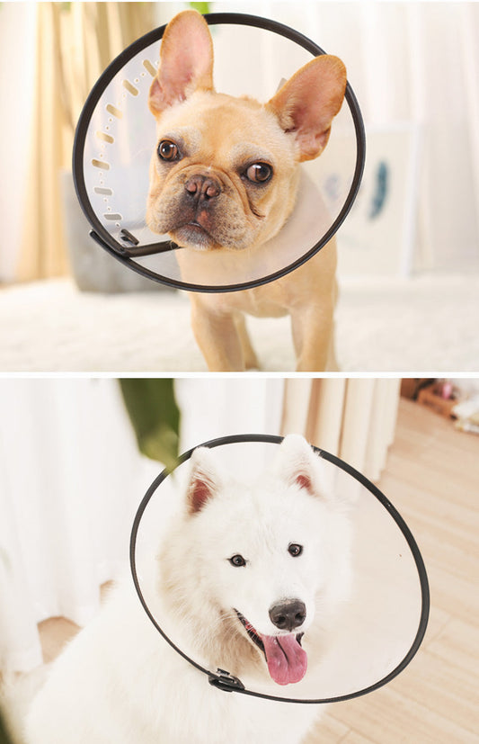 HKM-009555 Cat Hood Puppy Dog Anti Bite And Licking Pet Collar Ring Shiba Inu Method