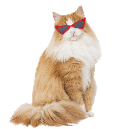 HKM-010003 Colorful Pet Glasses for Dogs and Cats - Fun Plastic Sunglasses in Various Colors