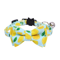 HKM-011027 Fruit Pattern Cat Collar and Casual Triangular Binder for Small and Medium Dogs