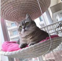 HKM-011667 Multi-Level Cat Climbing Frame with Storage and Cat Hammock