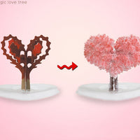 HKM-011923 Magic Growing Paper Christmas Tree with Water Activation - Festive Tree Decoration Set
