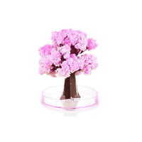 HKM-011923 Magic Growing Paper Christmas Tree with Water Activation - Festive Tree Decoration Set