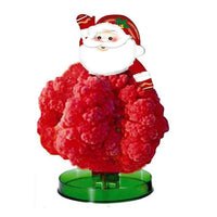 HKM-011923 Magic Growing Paper Christmas Tree with Water Activation - Festive Tree Decoration Set
