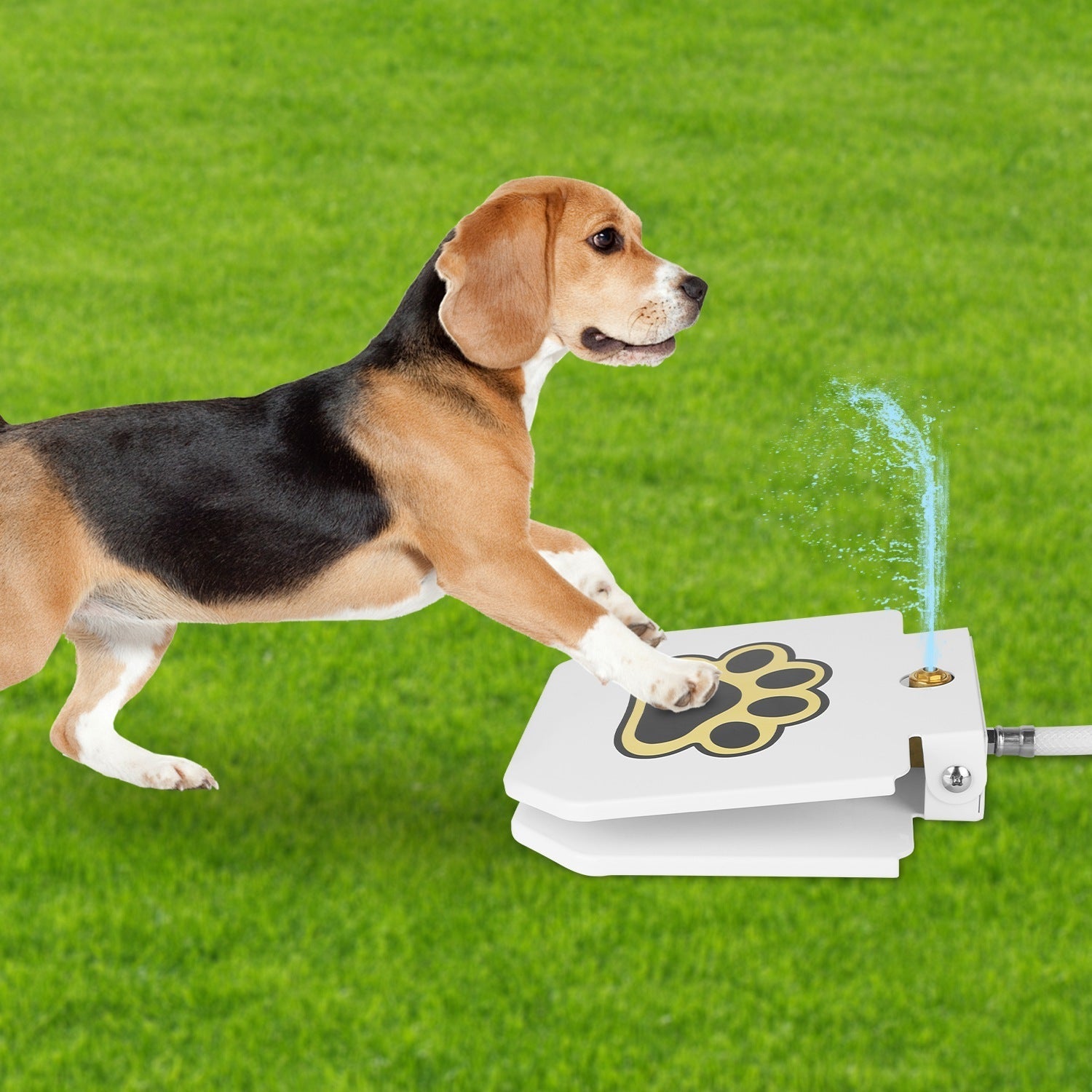 HKM-012179 Outdoor Dog Water Fountain with Step-On Activated Sprinkler and Interactive Paw Pedal Valve