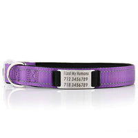 HKM-013011 Customized Nylon Dog Collar
