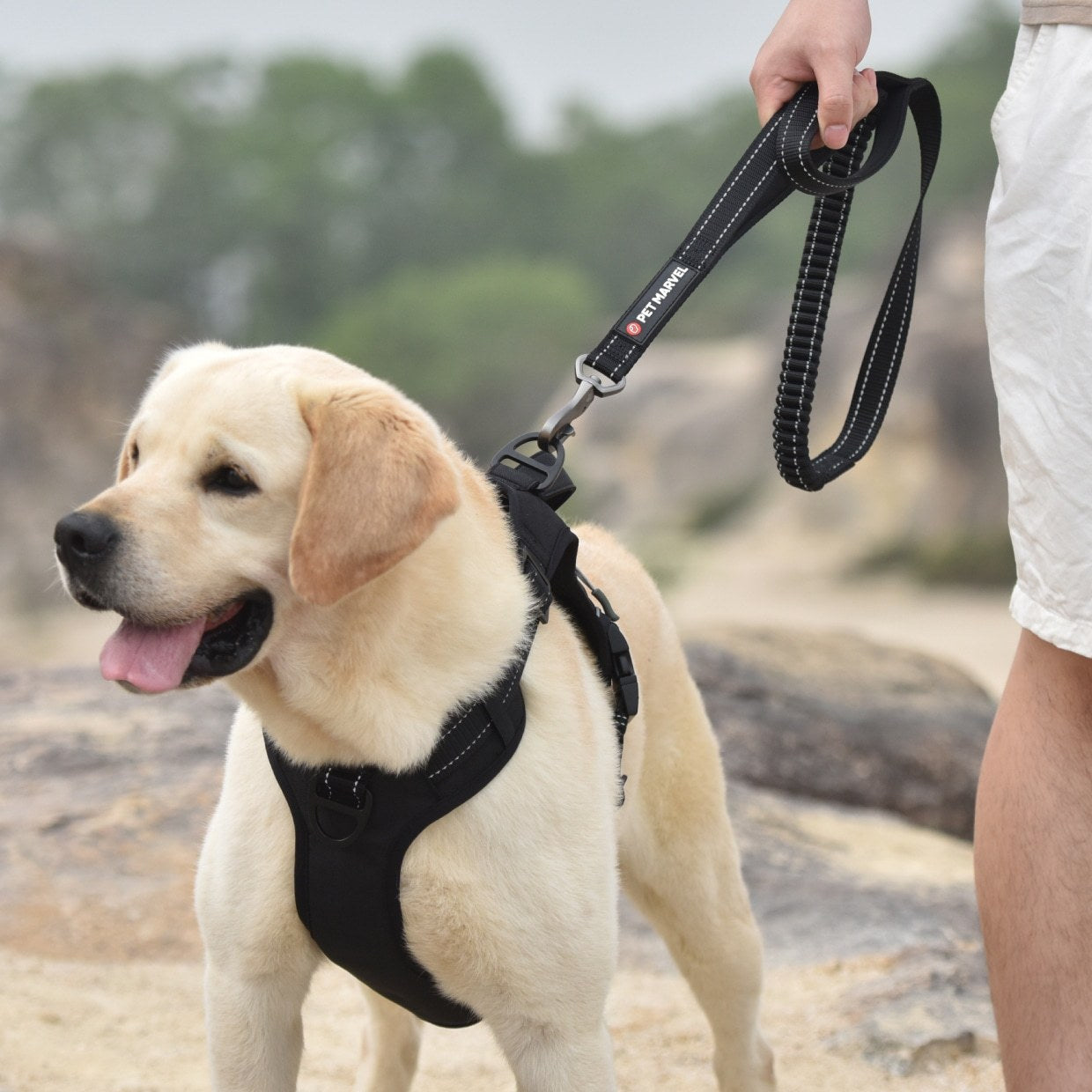 HKM-013651 Shock Absorbing Tactical Dog Leash with Dual Handles for Training – 4-6 FT Long
